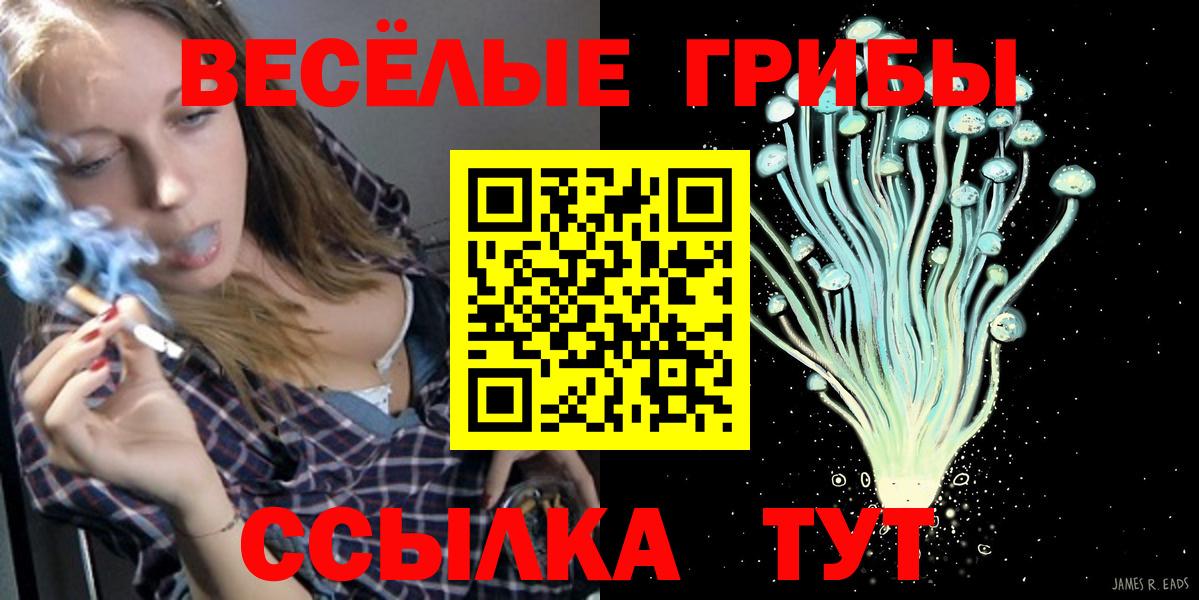 Галлюциногенные грибы GOLDEN TEACHER  Вход с VPN  продажа наркотиков  Карачаевск 